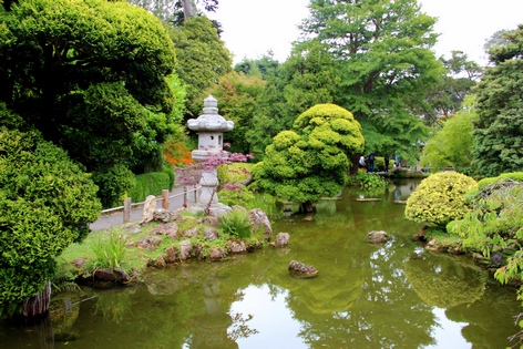 ���-���������